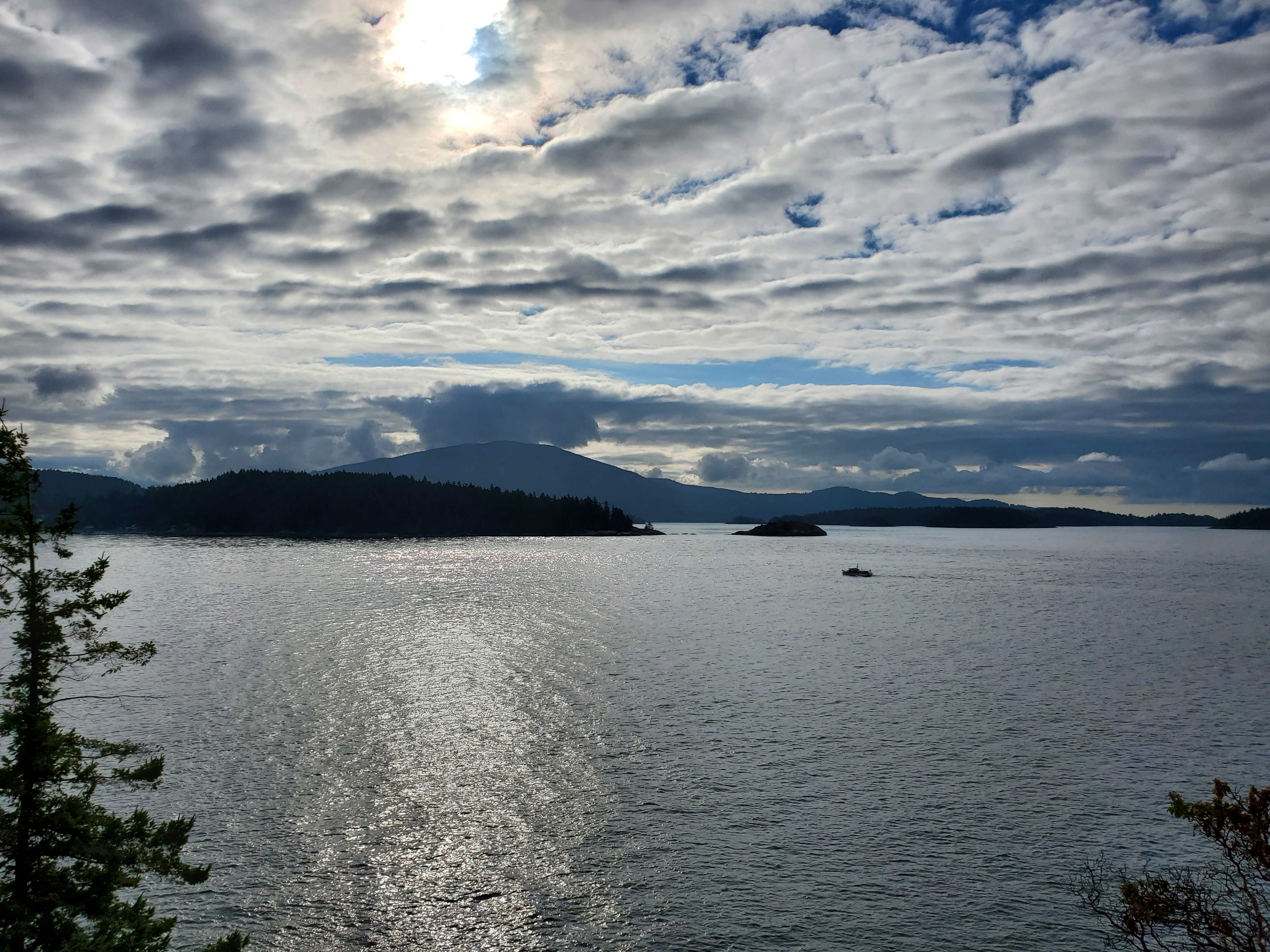 Professional Counselling